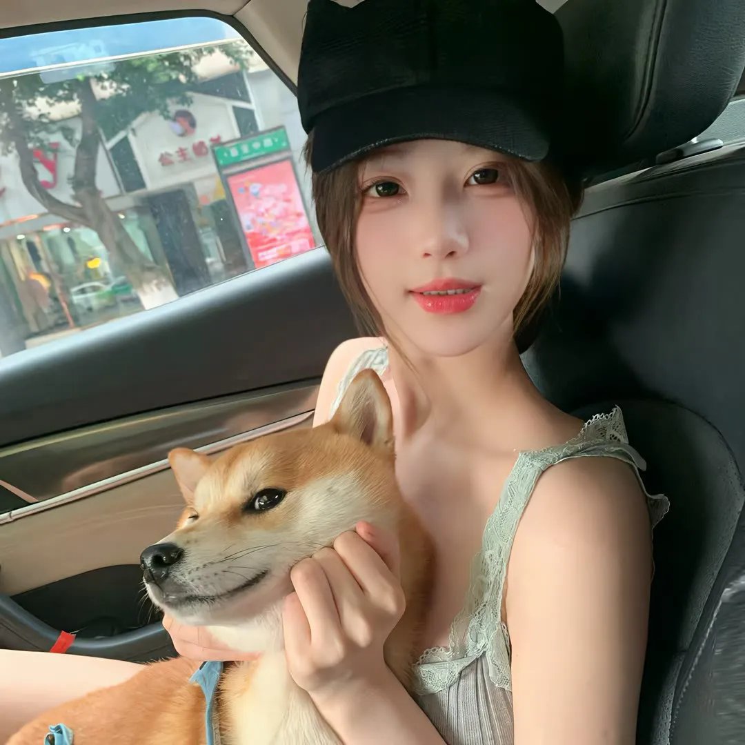 奇谋妙计多仔公